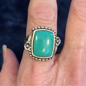 WJ Waldeck Johnson Native American Navajo Turquoise .925 Sterling Silver Size 8